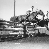 Horse Jumping