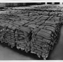 Interior view of the flour storage room for Old Home and Betsy Ross Bread for Pioneer Baking Company