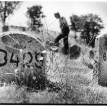 Folsom Prison Graveyard