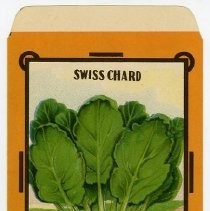 Swiss Chard