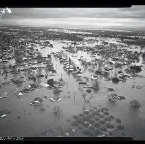 Negative, Safety, Unknown