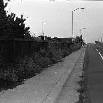 Street with fence and overgrown weeds