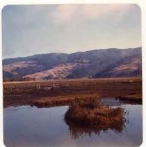 Photographs of landscape of Bolinas Bay. "Bolinas Lagoon, Sept. 3, 1973"
