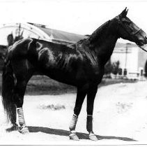 Print, Photographic, Black and White