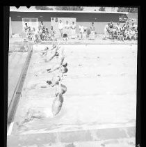 A.A.U. Olympic Swimming Meet