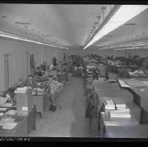 Negative, Safety, Unknown