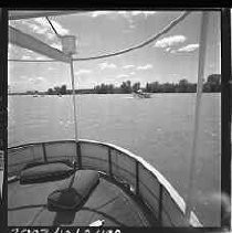 Negative, Safety, Unknown