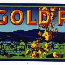 Gold Rush Brand