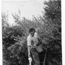 A border patrolman checks the identification of a farmworker