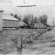 Flood Water in Chester, CA