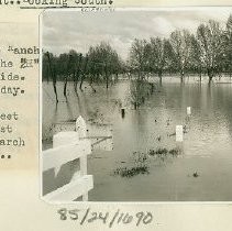 Print, Photographic, Black and White