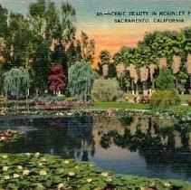 Scenic Beauty in McKinley Park, Sacramento, Cal