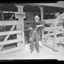 Negative, Safety, Unknown