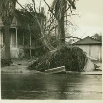 Wind storm damage in 1938