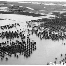 Marysville Flood