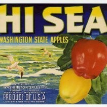 High Sea Washington State Apples