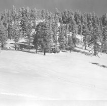 Cabin in the Snow