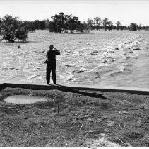 Flood Waters in Sacramento Valley