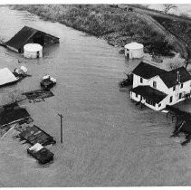 Flooded Farm