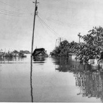 Flooded Farmland