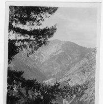 Lytle Creek Canyon