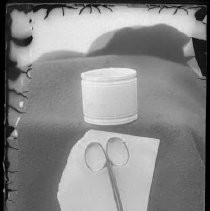 Negative, Glass Plate