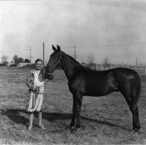 Woman with Black Horse