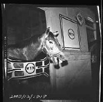 Negative, Safety, Unknown