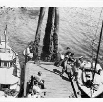 "Bowen Island Boats"