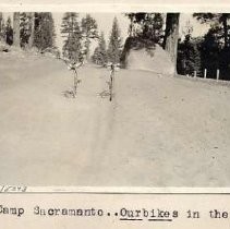 Print, Photographic, Black and White