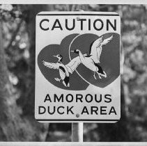 Print, Photographic, Black and White