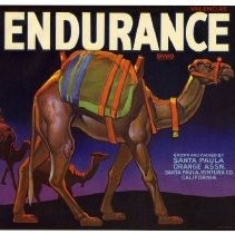 Endurance Brand