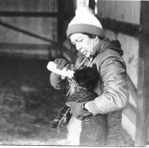 Woman Feeds Lamb