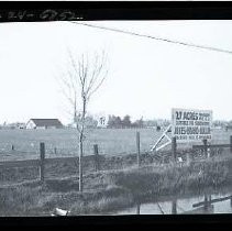 Negative, Safety, unknown