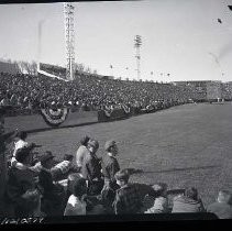 Negative, Safety, Unknown