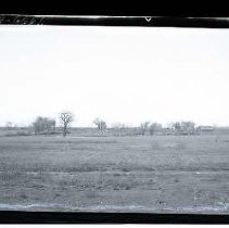 Negative, Safety, unknown