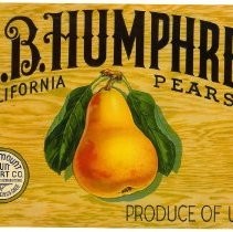 A.B. Humphrey California Pears