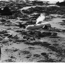 Floating Flood Debris