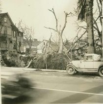 Wind storm damage in 1938