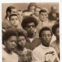 Black Panthers