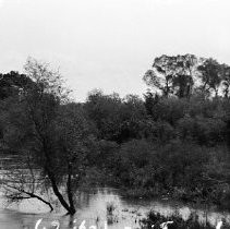 Mokelumne River