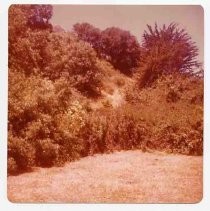 Photographs of landscape of Bolinas Bay