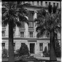 Two palm strees next to a building
