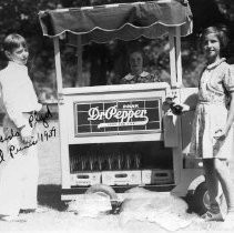 Boys and Girls Playground Council Picnic