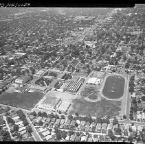 Negative, Safety, Unknown