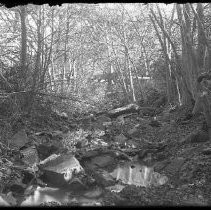 Negative, Glass Plate
