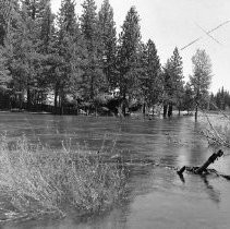 The Truckee River East of the Dam