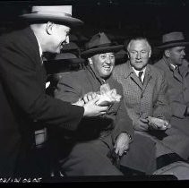 Negative, Safety, Unknown