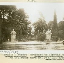 Print, Photographic, Black and White