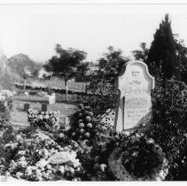 Negative, Glass Plate